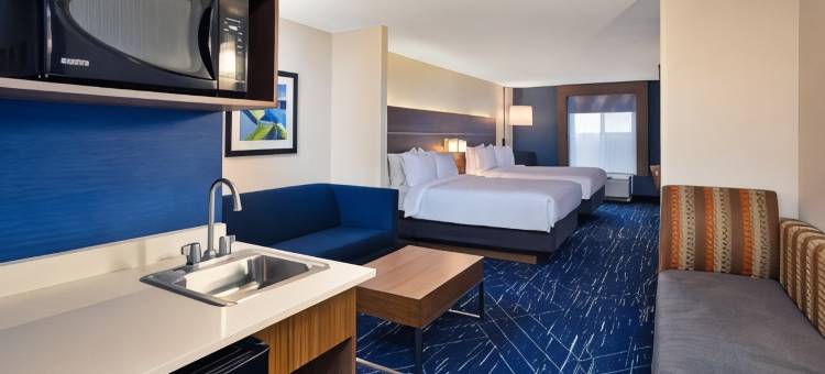 智选假日套房酒店奥本希尔斯(Holiday Inn Express & Suites Auburn Hills)图片