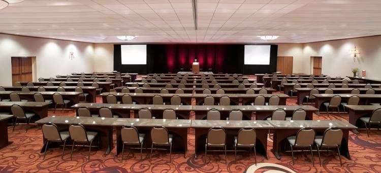 明尼阿波利斯西喜来登酒店(Sheraton Minneapolis West Hotel)图片