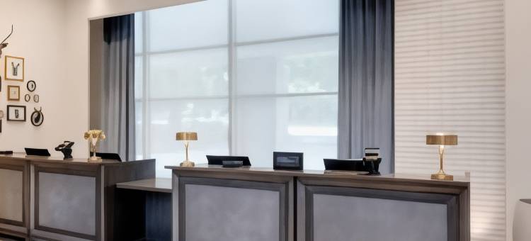 亚特兰大巴克海德希尔顿安泊酒店(Embassy Suites by Hilton Atlanta Buckhead)图片