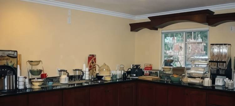 圣克鲁兹山凯艺套房酒店(Quality Inn & Suites Santa Cruz Mountains)图片