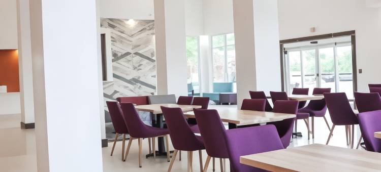 坦帕桑科斯特大道希尔顿花园酒店(Hilton Garden Inn Tampa Suncoast Parkway)图片