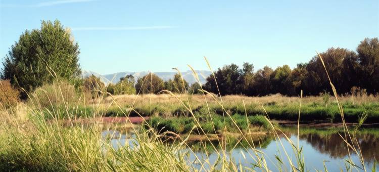 瓦拉瓦贝斯特韦斯特优质套房酒店(Best Western Plus Walla Walla Suites Inn)图片