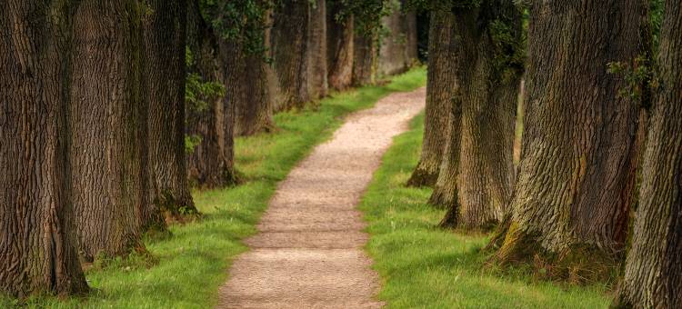 圣艾蒂安艾克图机场原生酒店(The Originals Boutique, Actuel Hôtel, Saint-Etienne Aéroport)图片