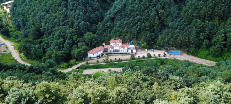 天蓝色观光农园(Haneulbit Gwangang Nongwon)图片