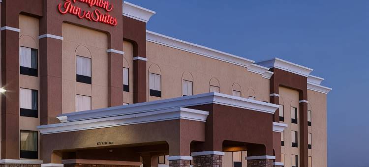 达拉斯阿林顿南欢朋套房酒店(Hampton Inn & Suites Dallas-Arlington-South)图片