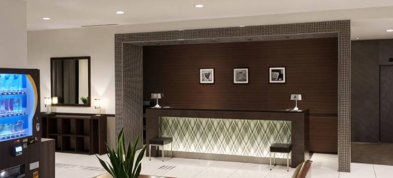 海老名远景酒店(Hotel Vista Ebina)图片