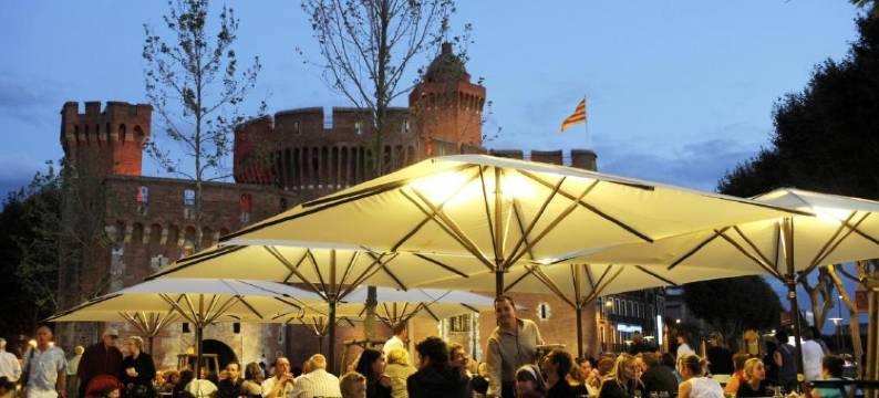 佩皮尼扬中心美居酒店(Hôtel Mercure Perpignan Centre)图片