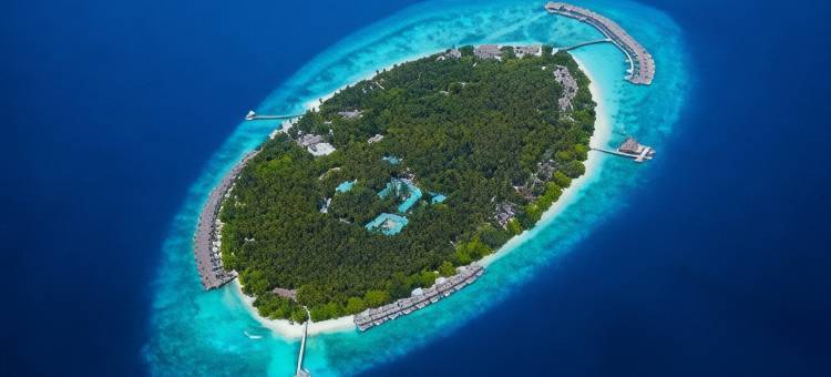 马尔代夫都喜天丽酒店(Dusit Thani Maldives)图片