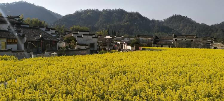小桥流水·村隐民宿(西递古村景区店)图片