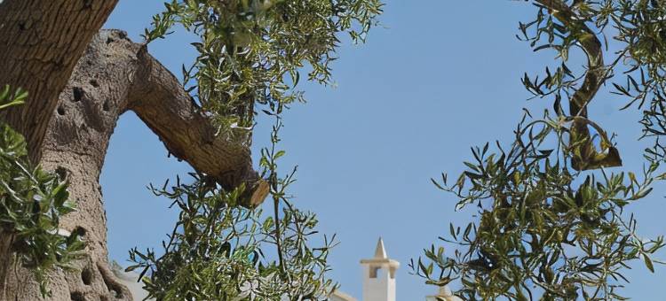 美憬阁波利尼亚诺波尔格毕安克水疗度假村(Borgobianco Resort & Spa Polignano - MGallery)图片