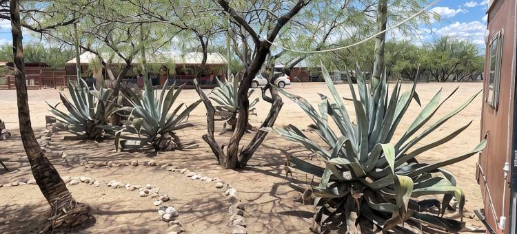 兰奇托帕拉伊索: 沙漠区艺术风农家乐度假屋(Ranchito Paraiso: Artsy Farm Stay in the Desert)图片
