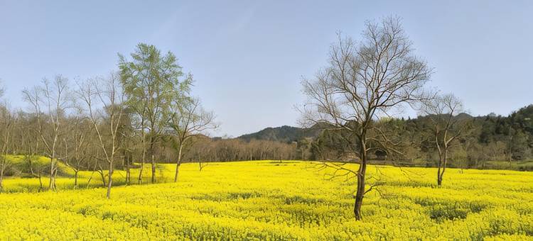 小桥流水·村隐民宿(西递古村景区店)图片