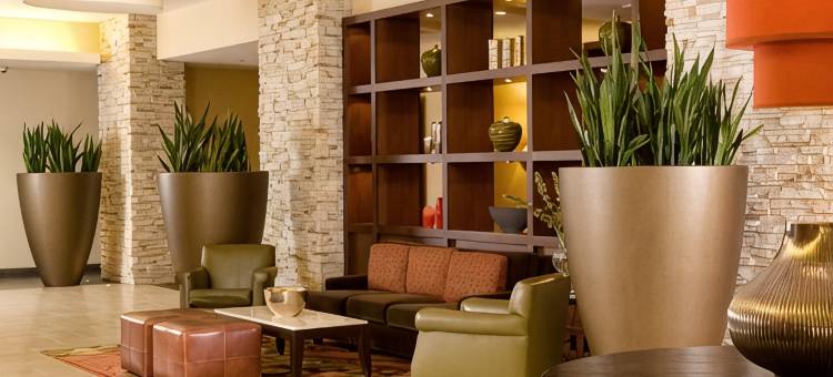 洛杉矶谢尔曼奥克斯万怡酒店(Courtyard Los Angeles Sherman Oaks)图片