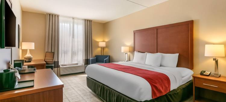 纳什维尔富兰克林冷泉舒适套房酒店(Comfort Inn & Suites Nashville Franklin Cool Springs)图片