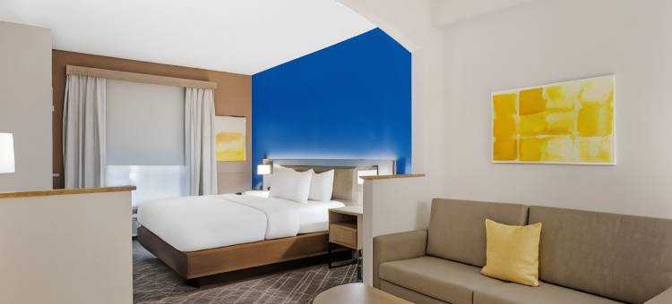 舒适套房酒店(Comfort Suites)图片