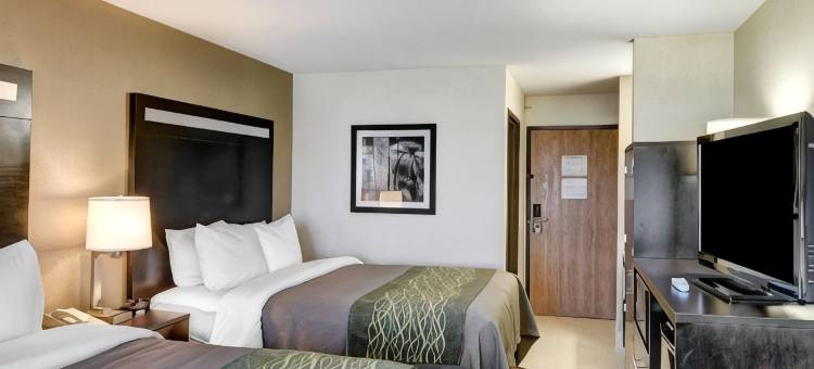 佩恩斯维尔舒适酒店(Comfort Inn)图片
