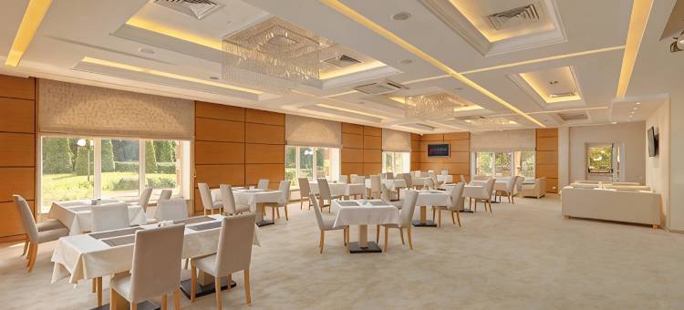 萨兰斯克·Azimut酒店(Azimut Hotel Saransk)图片