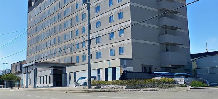 北海道富良野拉维斯塔天然温泉酒店(多美迎・御宿野乃 酒店集团)(La Vista Furano Hills Natural Hot Spring)图片