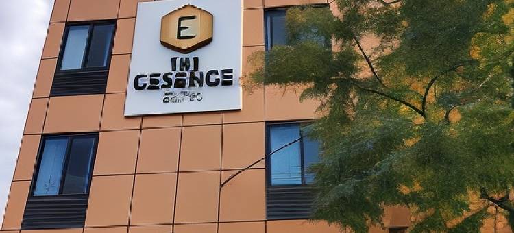 精华酒店在JFK(The Essence Hotel at JFK)图片