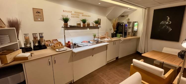 阿贝拉法国酒店(Abelha Hôtel le France)图片