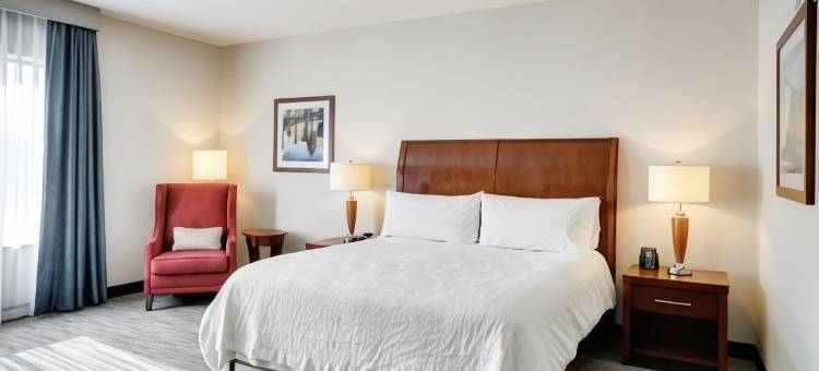 密尔沃基机场希尔顿花园酒店(Hilton Garden Inn Milwaukee Airport)图片