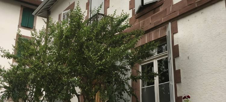 埃斯庞达别墅酒店(La Villa Esponda)图片