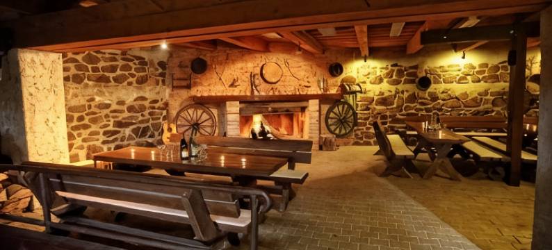 萨托斯科酸橙旅馆(Penzion Šatovské lípy)图片