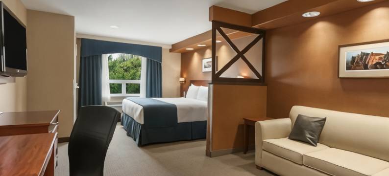 布兰顿温德姆戴斯套房酒店(Days Inn & Suites by Wyndham Brandon)图片