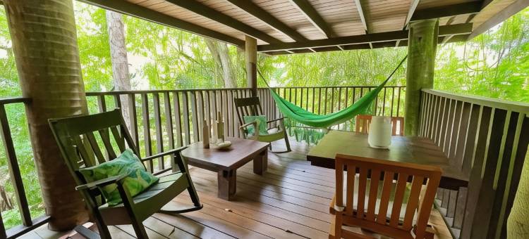 柏拉图生态小屋酒店(Platon Ecolodge)图片