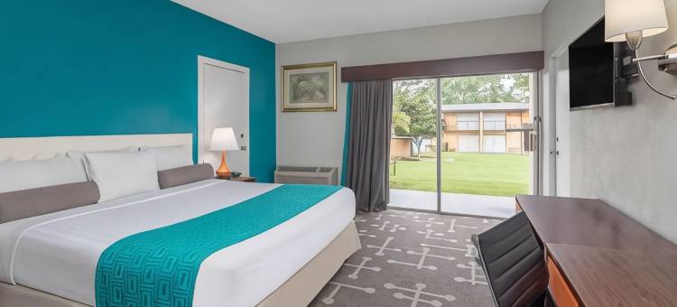 雅典豪生酒店(Howard Johnson by Wyndham Athens)图片