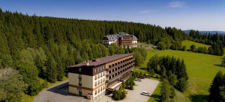 舒马瓦斯皮卡奥雷阿酒店(Orea Hotel Špičák Šumava)图片