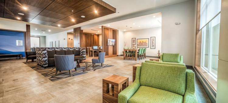 埃德蒙顿西部购物区智选假日酒店(Holiday Inn Express & Suites West Edmonton-Mall Area)图片