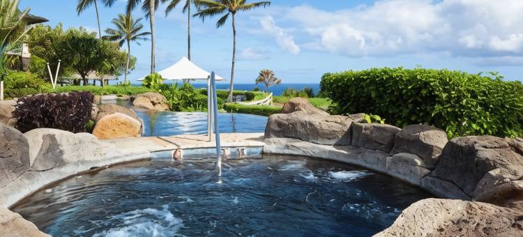 威斯汀普林斯维尔海洋别墅度假酒店(The Westin Princeville Ocean Resort Villas)图片