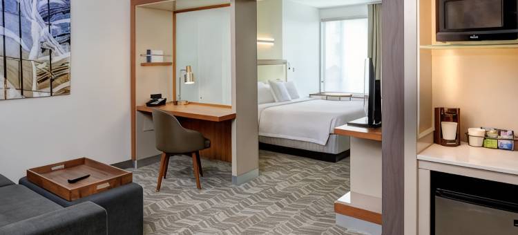 萨吉诺SpringHill Suites酒店(SpringHill Suites Saginaw)图片