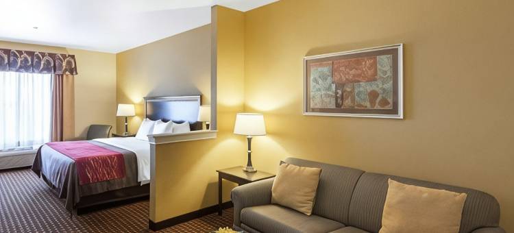 区域医疗中心舒适套房酒店(Comfort Inn & Suites Regional Medical Center)图片