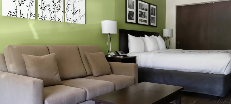 圣克莱维贝尔蒙特舒眠酒店(Sleep Inn & Suites Belmont - St. Clairsville)图片