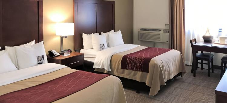 舒适酒店(Comfort Inn)图片