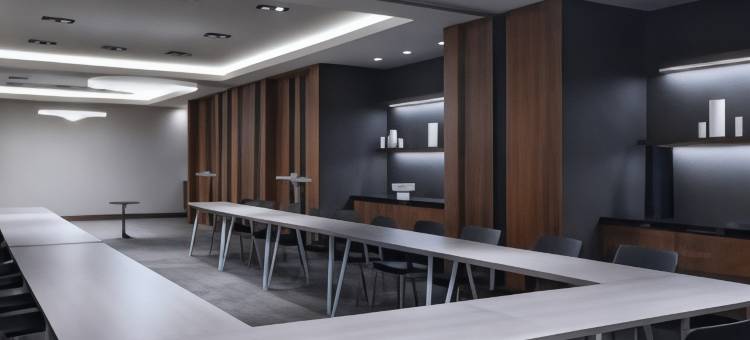 马里奥特AC酒店(位于蒙特雷谷)(AC Hotel Monterrey Valle)图片