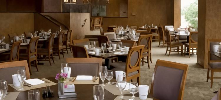 圣路易斯西港逸林酒店(DoubleTree by Hilton Hotel St. Louis - Westport)图片