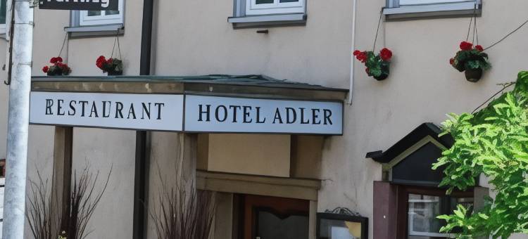 鹰酒店(Adler)图片
