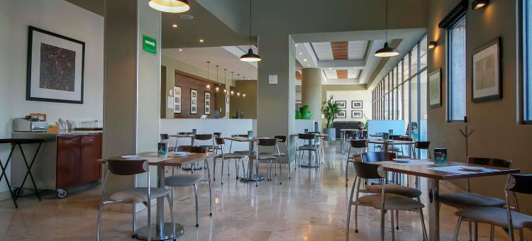 莫雷利亚图罗特尔酒店(Hotel Turotel Morelia)图片