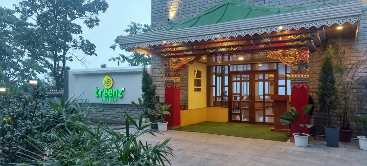 特里恩茨酒店(Treenz Hotel)图片
