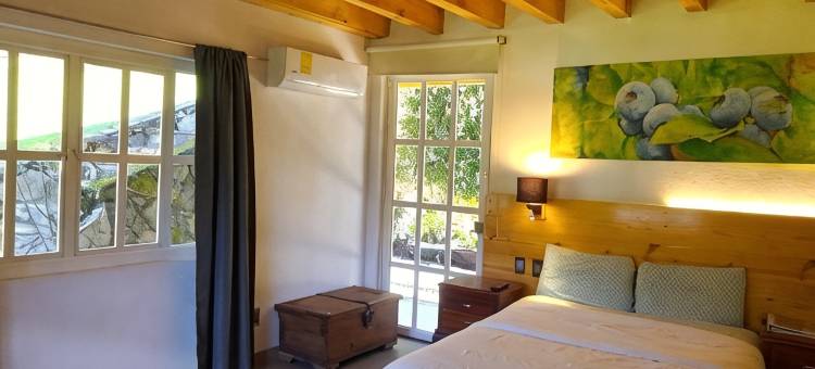 森林果实酒店(Hotel Frutos del Bosque)图片