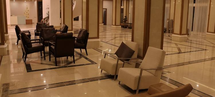榛子树酒店(Hotel Hazel)图片