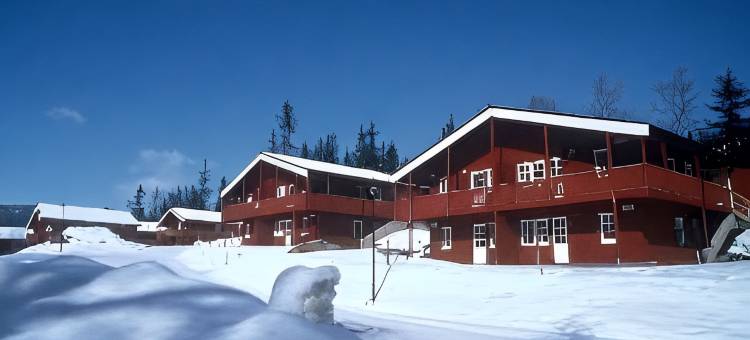 比尔凯贝内伦酒店及公寓(Birkebeineren Hotel & Apartments)图片
