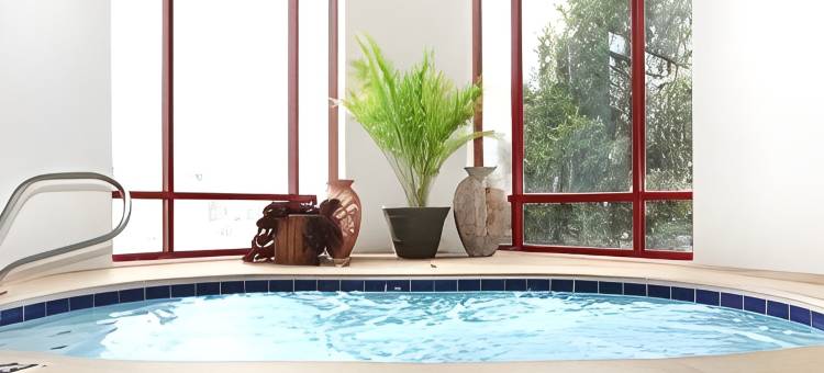 北奥拉西智选假日酒店及套房(Holiday Inn Express & Suites OLATHE NORTH by IHG)图片