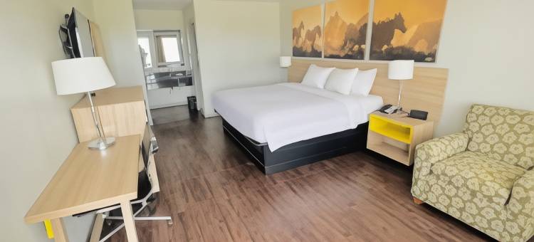坎顿温德姆戴斯酒店(Days Inn by Wyndham Canton)图片