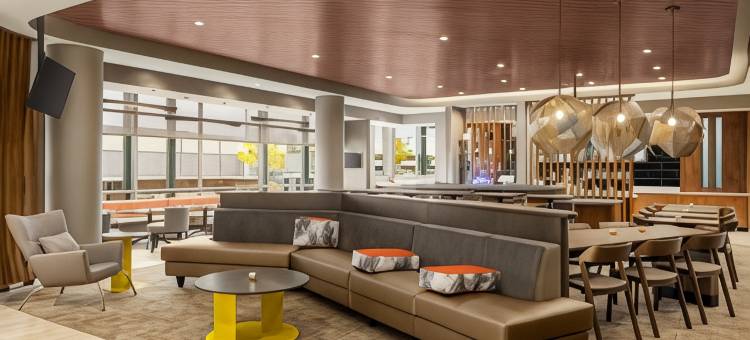 希尔营SpringHill套房酒店(SpringHill Suites Camp Hill)图片