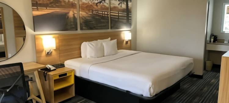 莫比尔温德姆戴斯套房酒店(Days Inn & Suites by Wyndham Mobile)图片