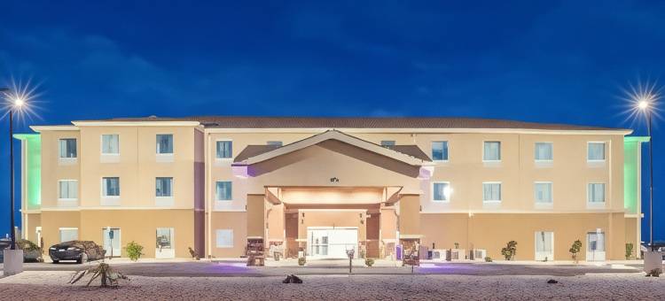 卡尔斯巴德洞穴区-品质酒店及套房(Quality Inn & Suites Carlsbad Caverns Area)图片